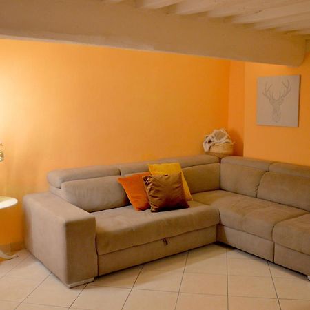 Piazza Napoleone Sweet Apartment 卢卡 外观 照片