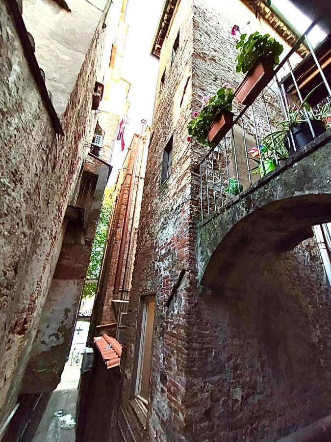 Piazza Napoleone Sweet Apartment 卢卡 外观 照片
